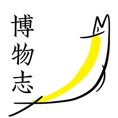 博物志播客封面
